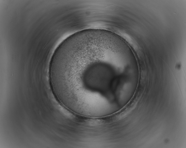 X0000101691331200807241400