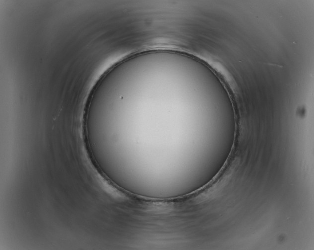 X0000101691333200807241400