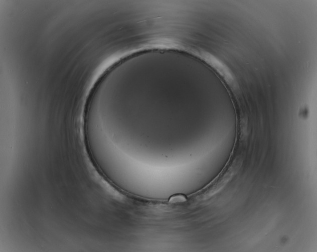 X0000101691334200807241400