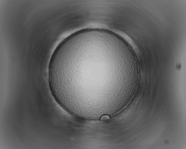 X0000101691335200807241400