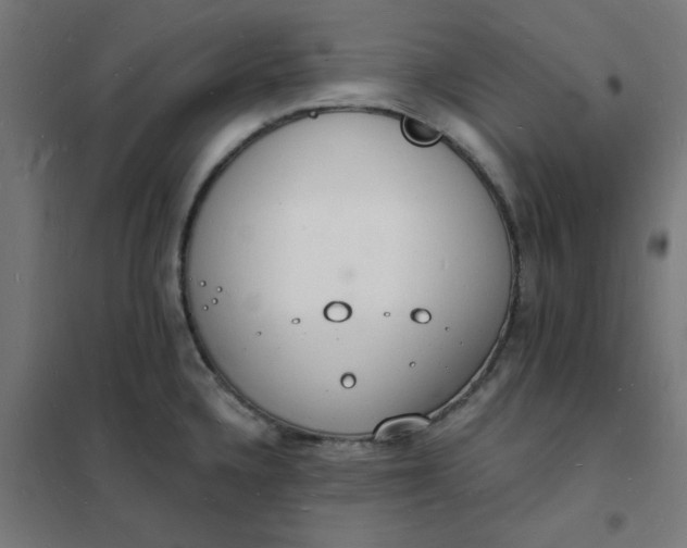 X0000101691336200807241400