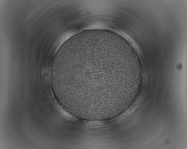 X0000101691337200807241400