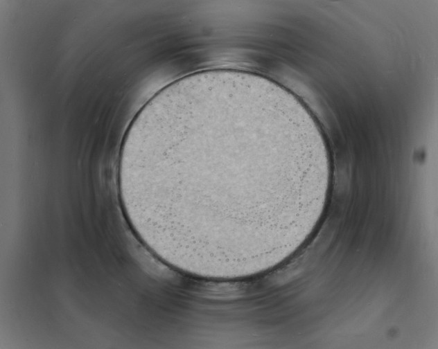 X0000101691338200807241400