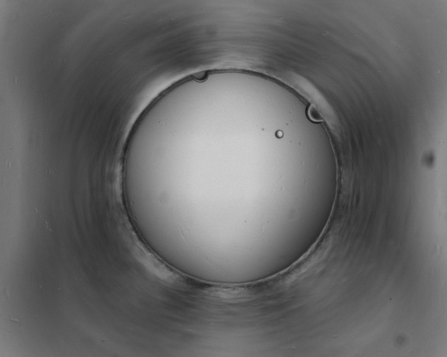 X0000101691340200807241400