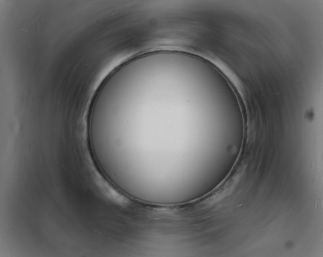 X0000101691341200807241400