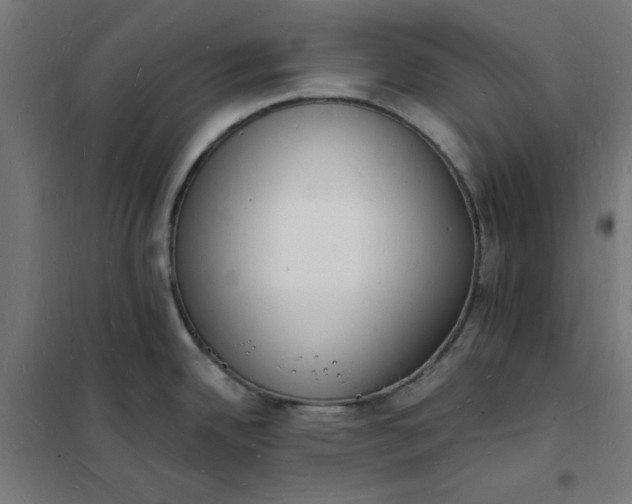 X0000101691342200807241400