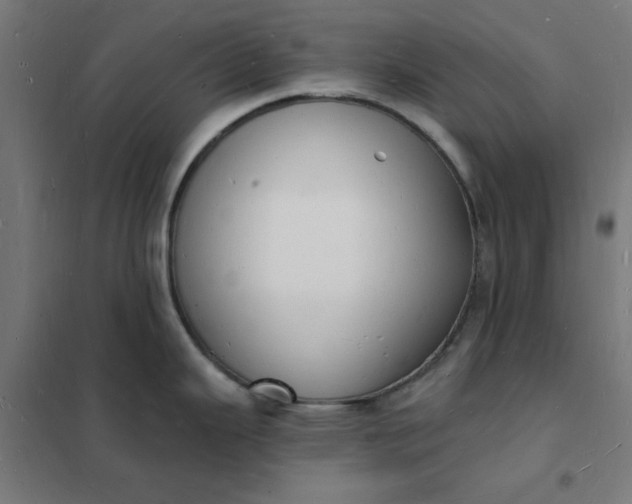 X0000101691343200807241400