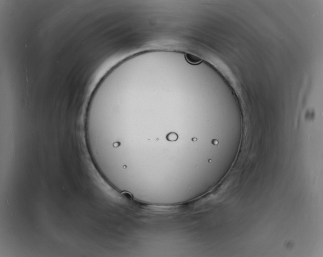 X0000101691344200807241400