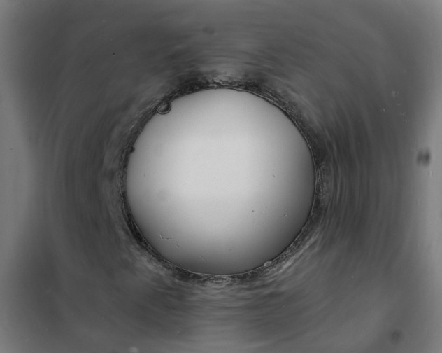 X0000101691345200807241359