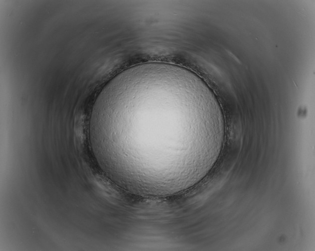 X0000101691346200807241359