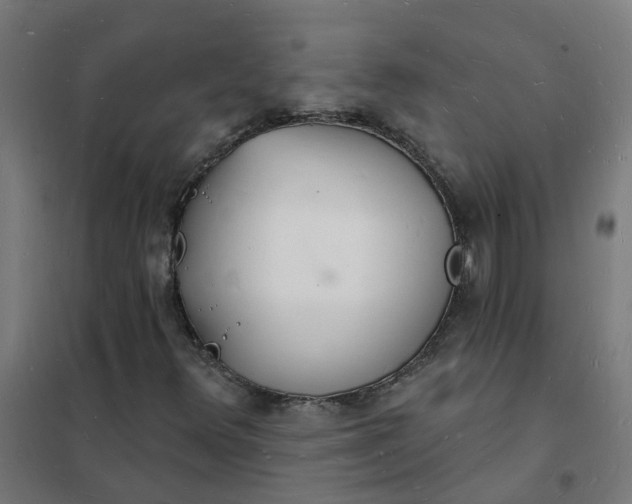 X0000101691348200807241359