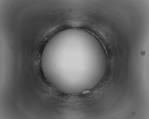 X0000101691349200807241359