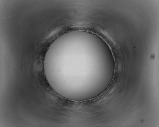 X0000101691350200807241359