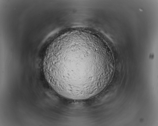 X0000101691351200807241359