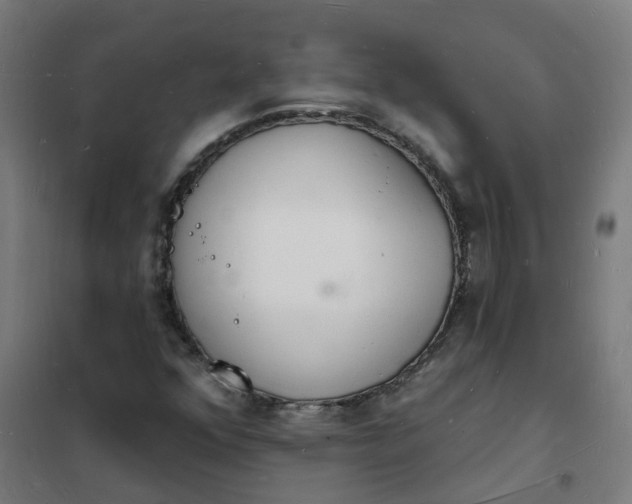 X0000101691352200807241359