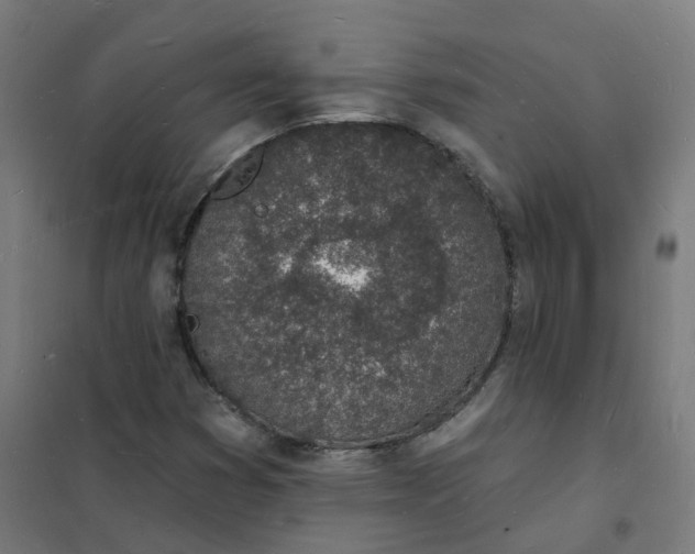 X0000101691353200807241359