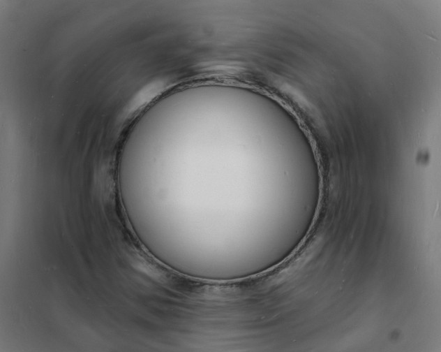 X0000101691354200807241359