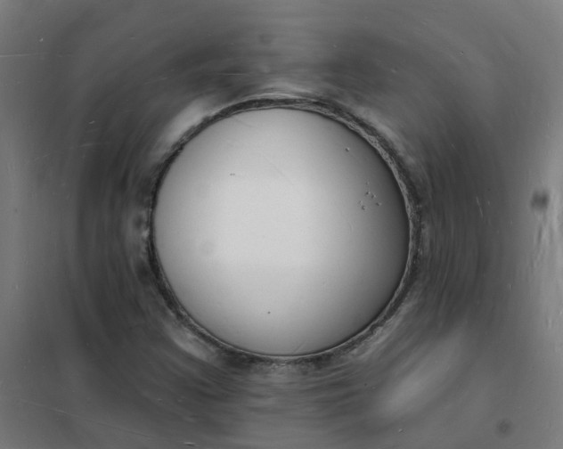 X0000101691355200807241359