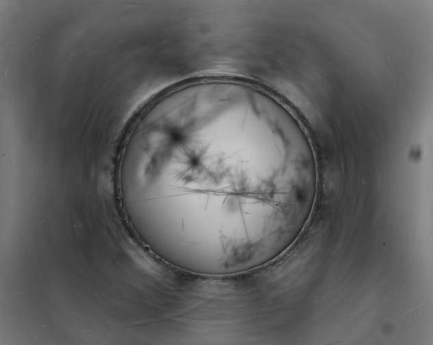 X0000101691356200807241359