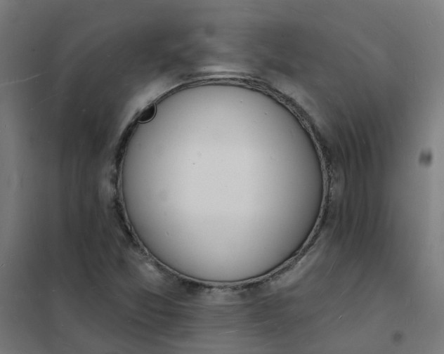 X0000101691357200807241359