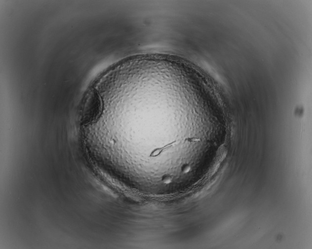 X0000101691358200807241359