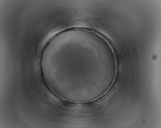 X0000101691359200807241359