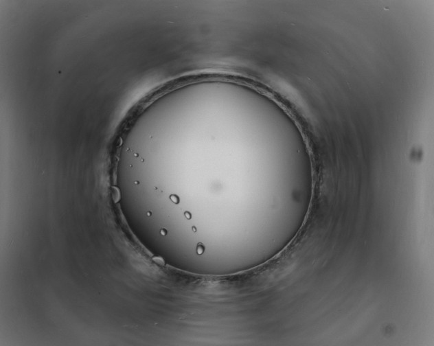 X0000101691360200807241359