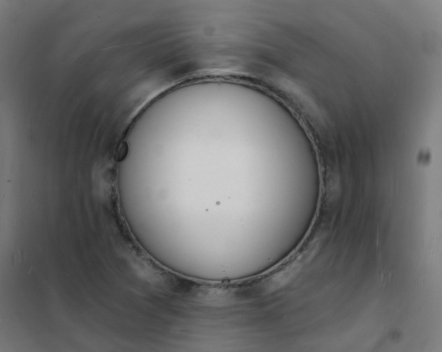 X0000101691361200807241359