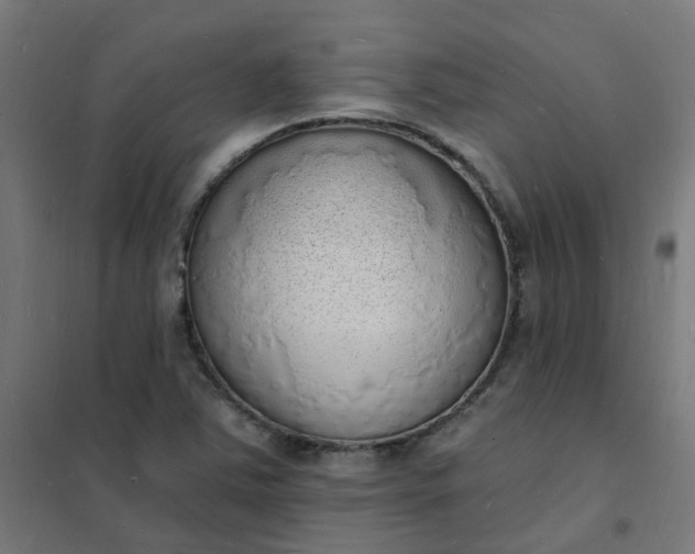 X0000101691363200807241359