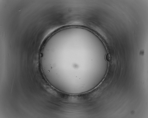 X0000101691364200807241359