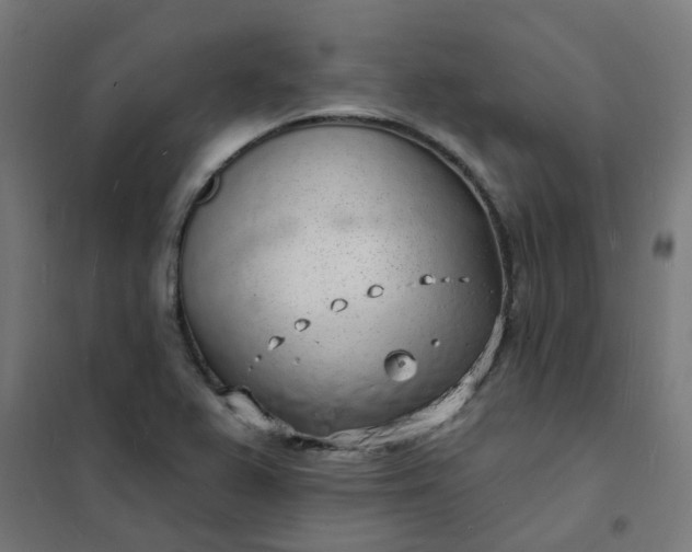 X0000101691367200807241359