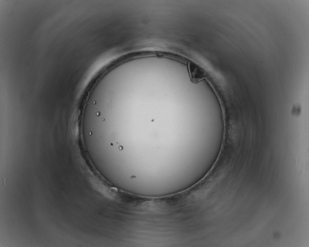 X0000101691368200807241359