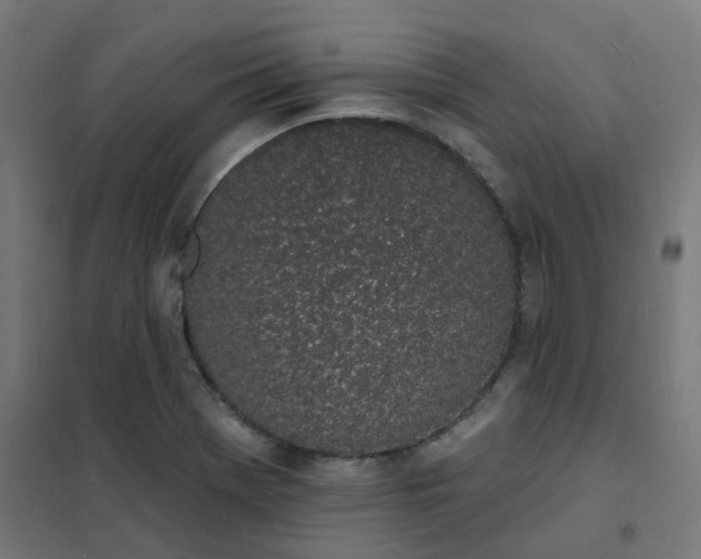 X0000101691369200807241359