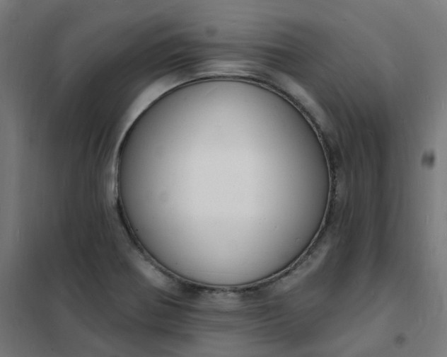 X0000101691370200807241359