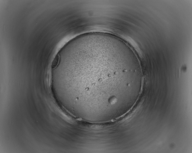 X0000101691371200807241359