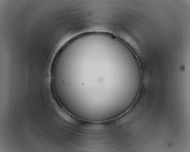 X0000101691372200807241359