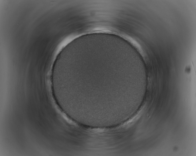 X0000101691373200807241359