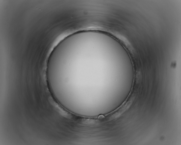 X0000101691374200807241359