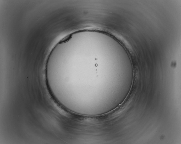 X0000101691375200807241359