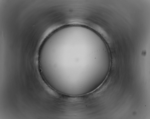 X0000101691376200807241359