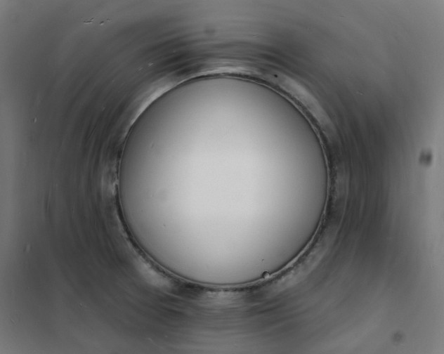 X0000101691377200807241359