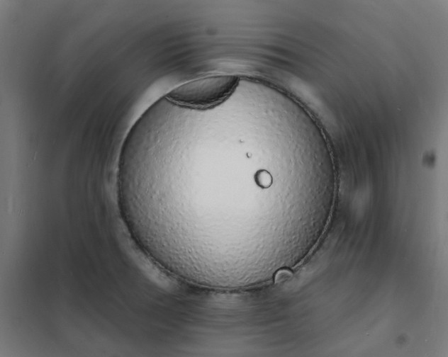 X0000101691378200807241359