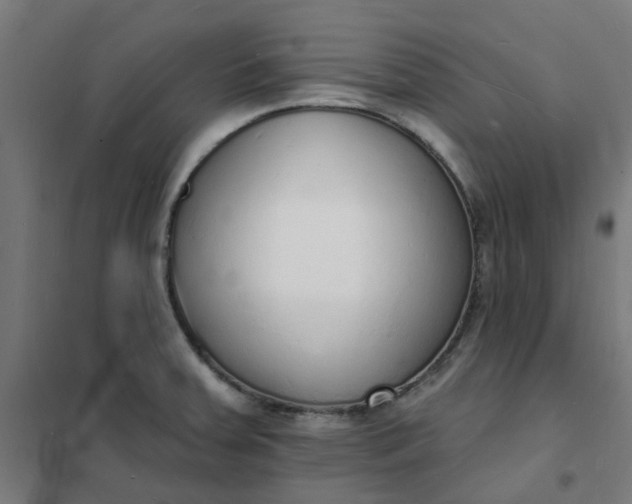 X0000101691379200807241359