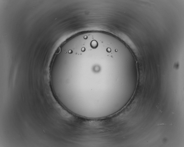 X0000101691380200807241359