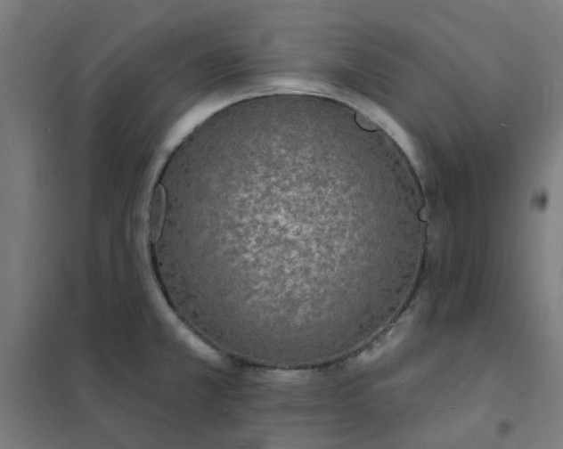 X0000101691381200807241359