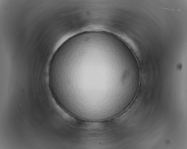 X0000101691382200807241359