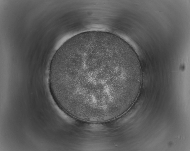 X0000101691383200807241359