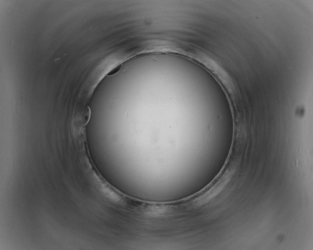 X0000101691385200807241359