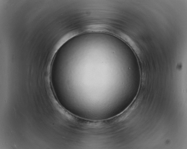 X0000101691386200807241359