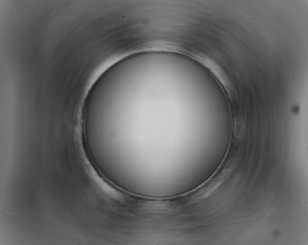 X0000101691387200807241359